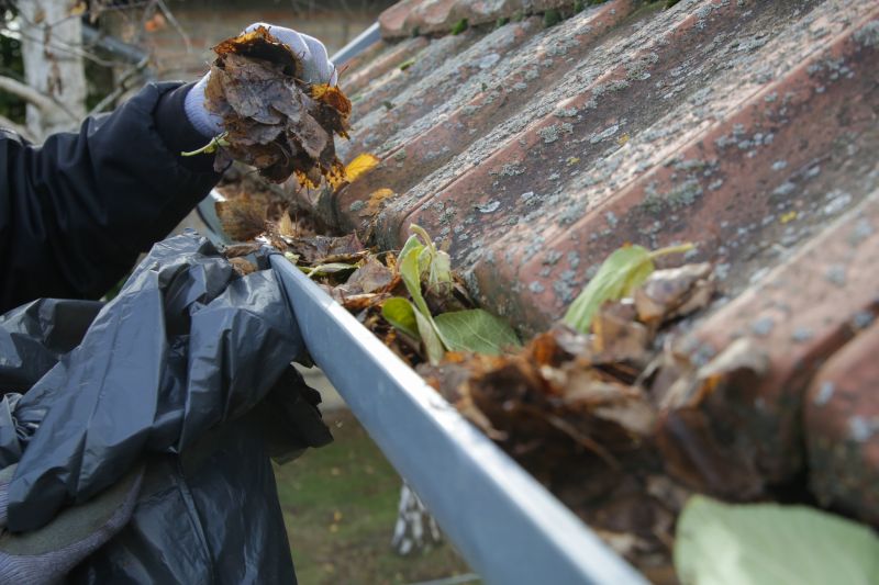 Professional Gutter Cleaning Service