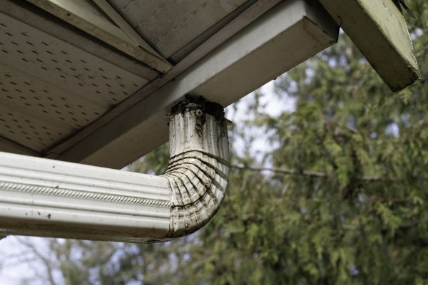 Roof Drain Replacement in Charlotte